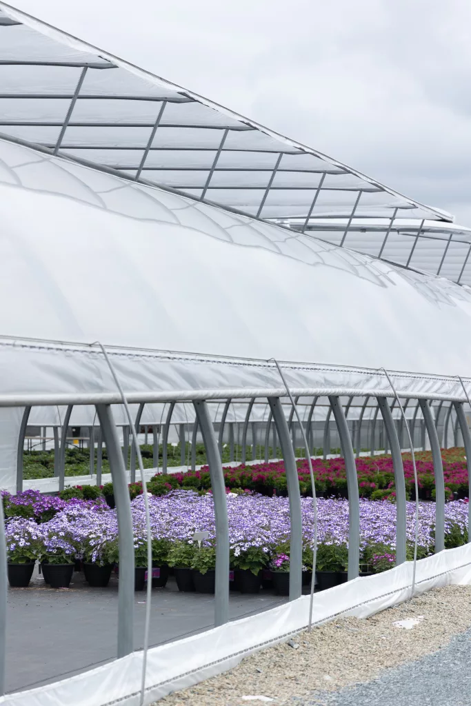ovaltech - commercial freestanding greenhouse