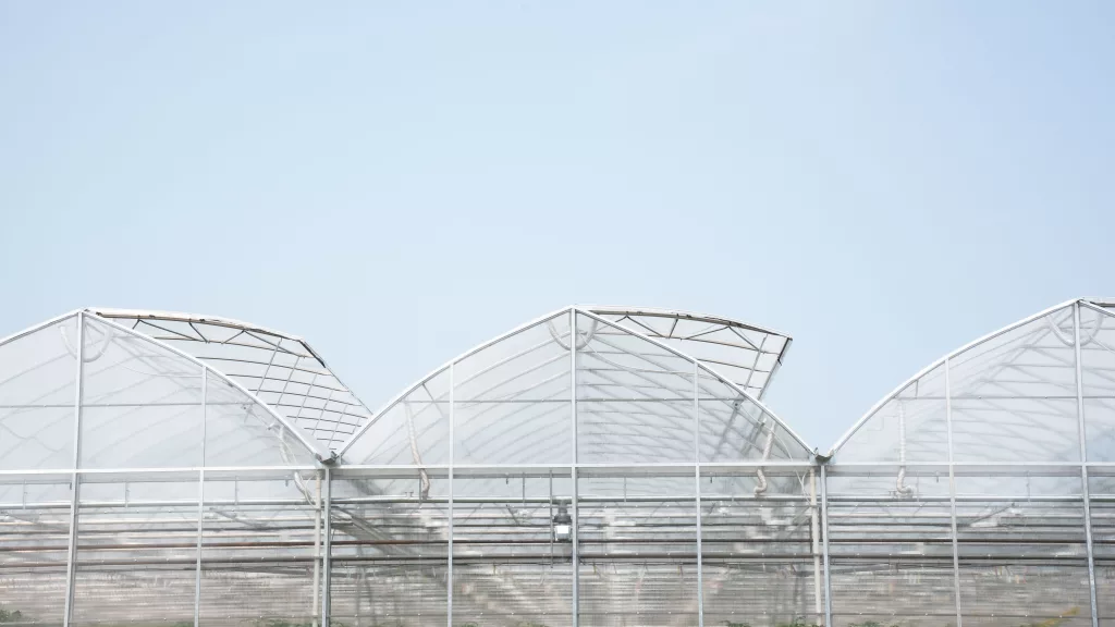 Commercial greenhouse in Canada - Harnois