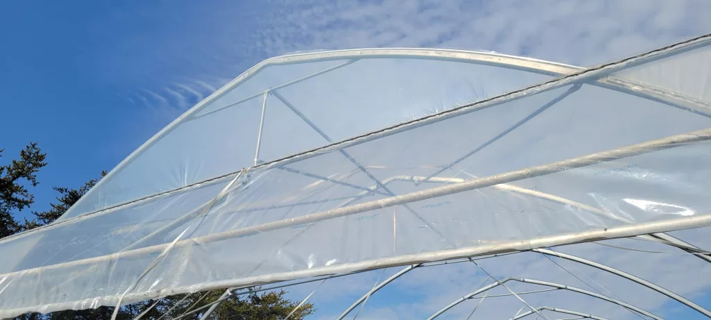 How to Inspect Your Greenhouse Polyethylene: A Complete Seasonal Guide 1 Media 9