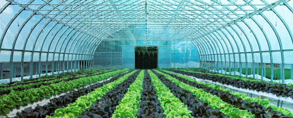 NRCS High Tunnel Vendors