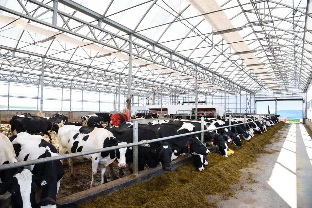 Ferme Miclerc Projet Ferme Miclerc 2