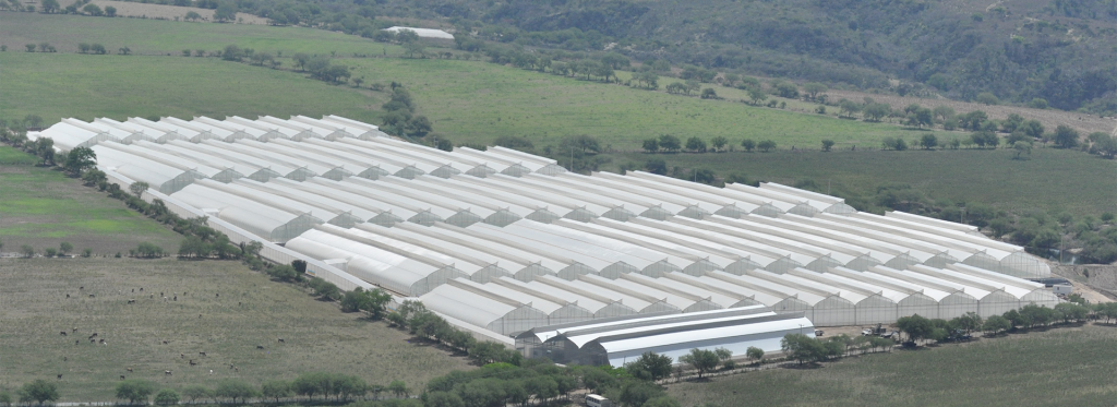 Expand your commercial greenhouse complex easily with Harnois RESIZED DSC 0959