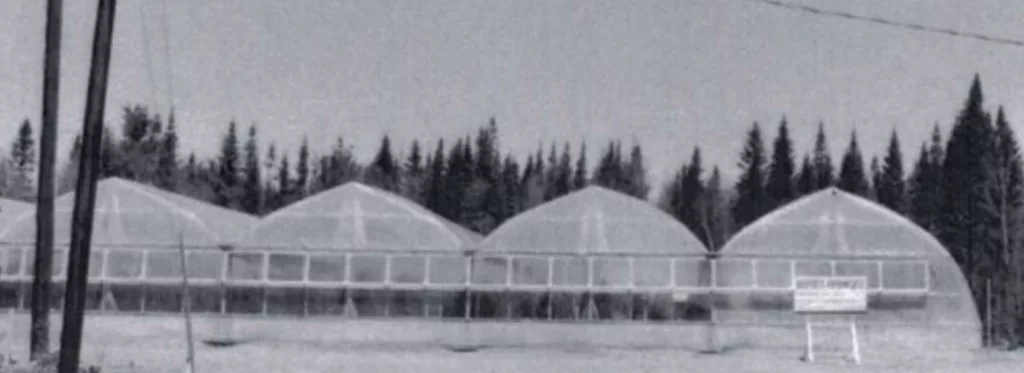 Harnois Pioneeried Gothic Arch-Style Greenhouse Untitled design 9