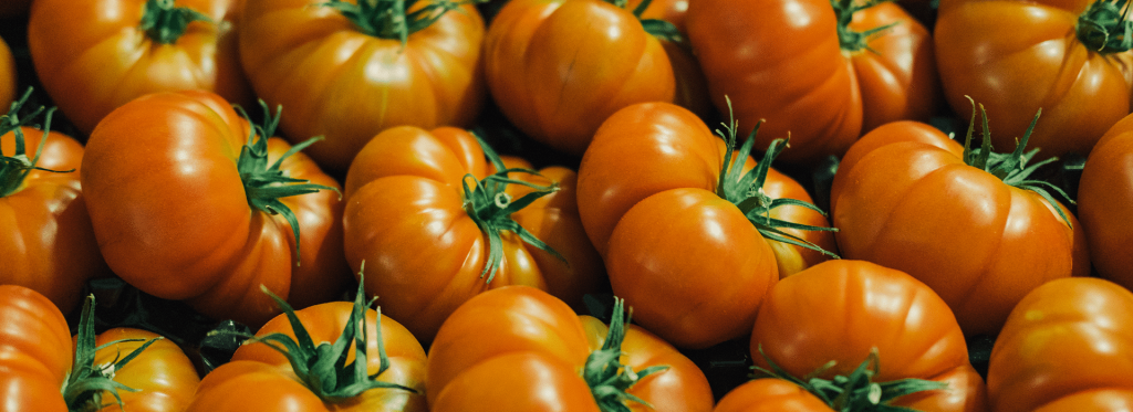 The benefits of a commercial greenhouse for organic production header serres avantages bio