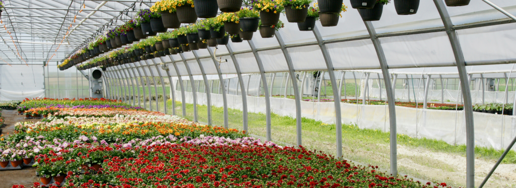 New USDA’s Game-Changing Crop Insurance Program usda crop insurance