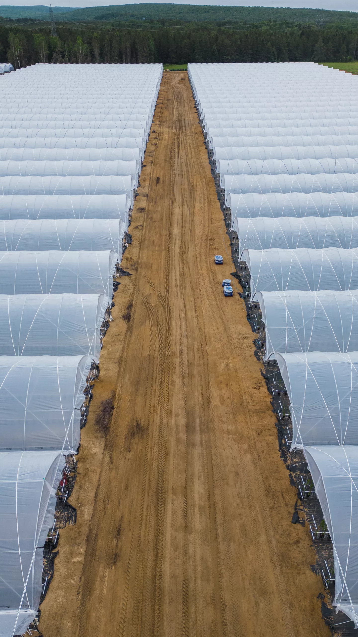 Commercial Greenhouses for Professional Growers 28 HARNOIS Lac des Ecorces Juin 2024 EDIT 38 scaled