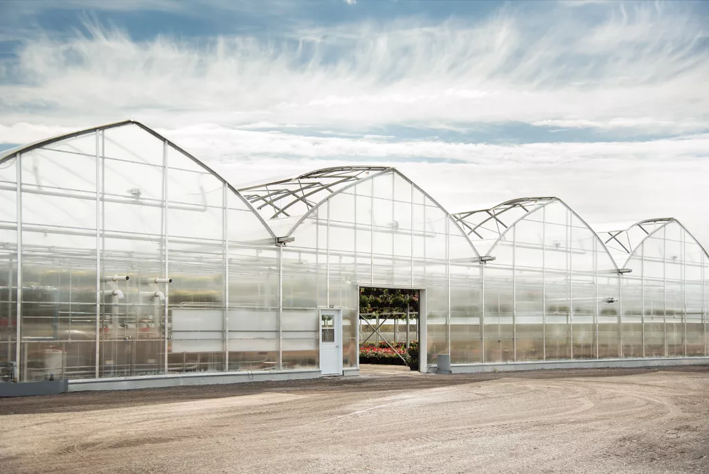 What is a Gutter Connected Greenhouse? Luminosa horticole exterieur willyhaeck 2019