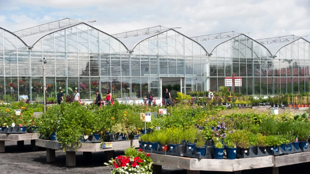 serre jumelée - centre jardin (3)