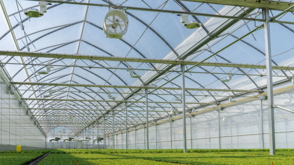 How much does a commercial greenhouse cost? 5 Gutter Connected Commercial Greenhouses