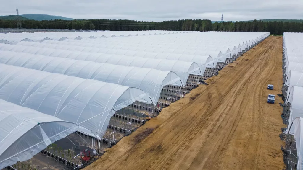 High Tunnel Commercial Greenhouses