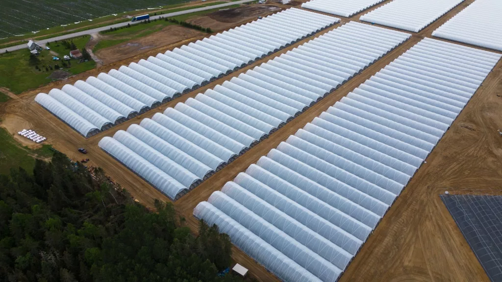 What is a High-Tunnel Greenhouse? serres tunnels 2 1