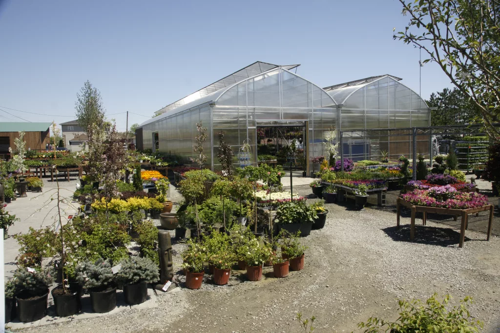 serre-concue-par-des-ingenieurs