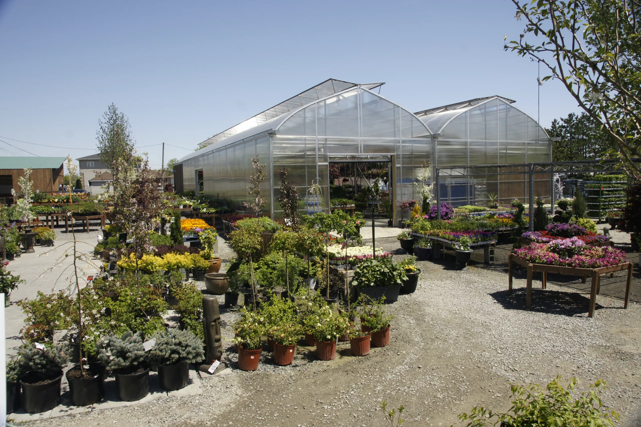 serre-concue-par-des-ingenieurs