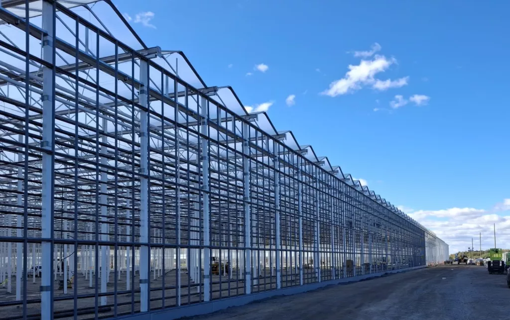 Commercial Glass Greenhouse - Vermax