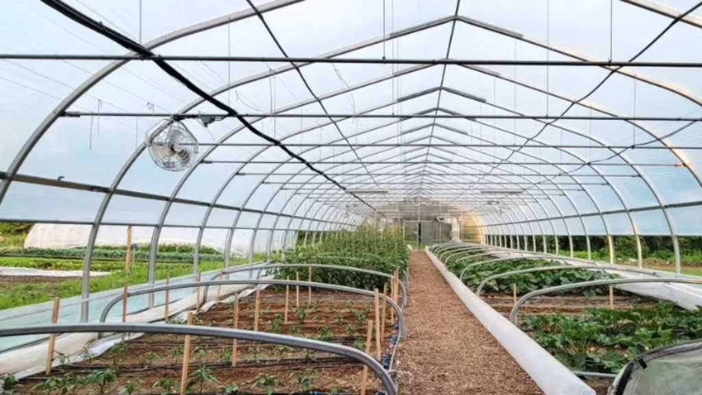 NRCS High Tunnel Initiative – EQIP-Approved Greenhouse Vendors