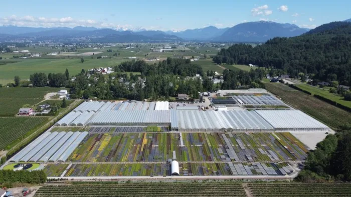 commercial greenhouse size