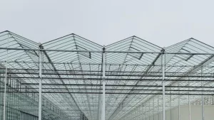 VegPro - Commercial Glass Greenhouse