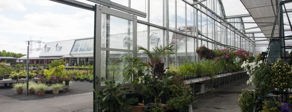 How much does a commercial greenhouse cost? 38 commercial greenhouse cost