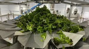 VegPro - Commercial Glass Greenhouse - Robot