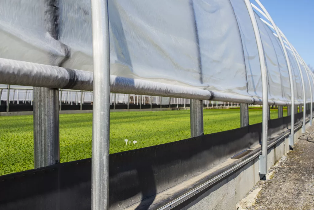 Harnois greenhouse Canada structure - Freestanding