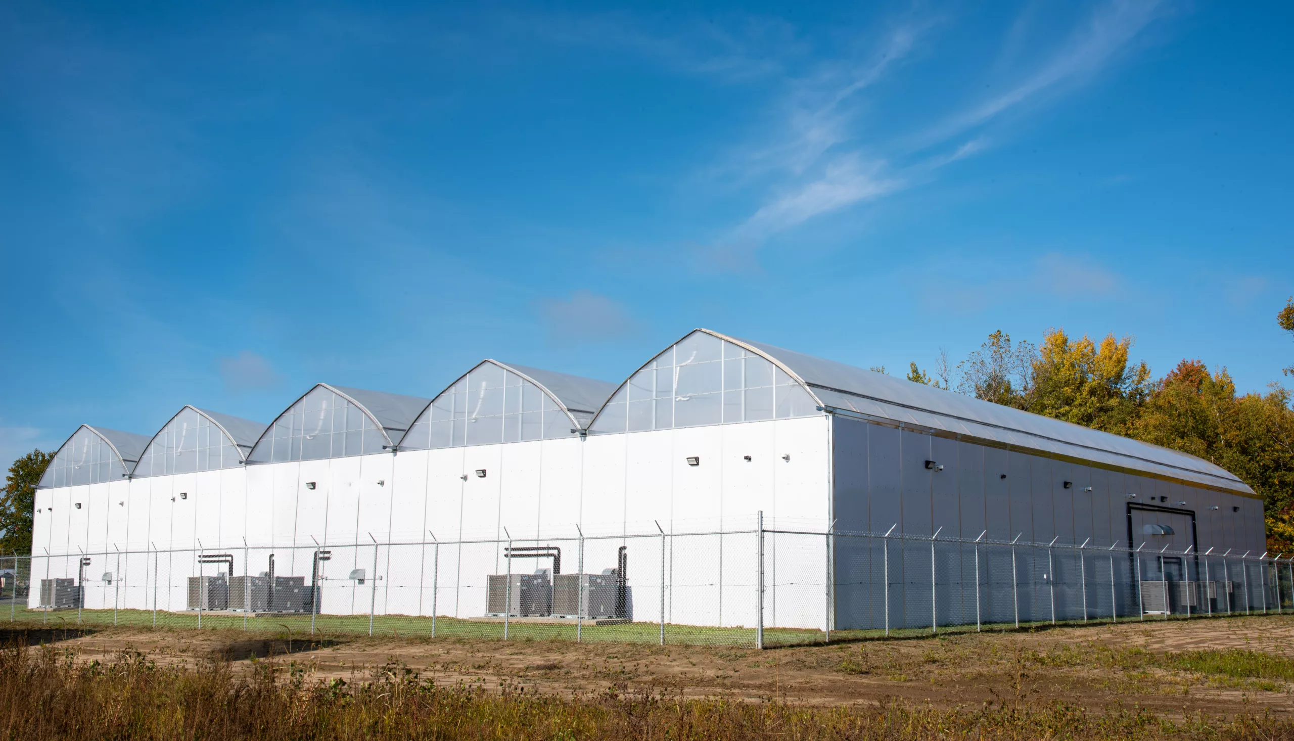 cannabis greenhouse - gutter connected