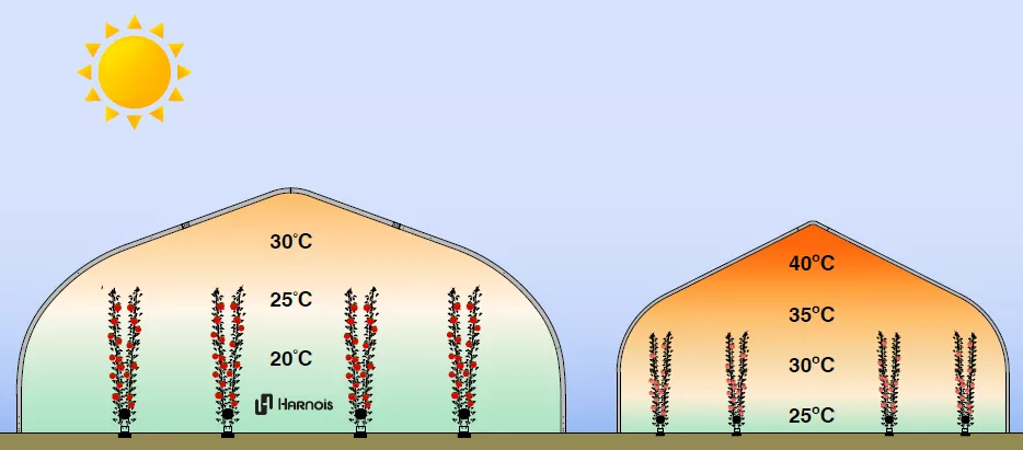 The greenhouse acts as a thermal buffer 8 image 5