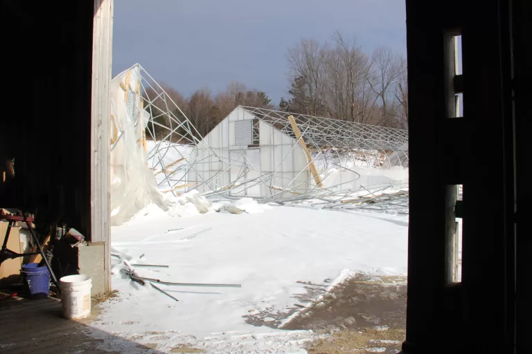 Vermont greenhouse from market garderners mangled during the latest windstorm