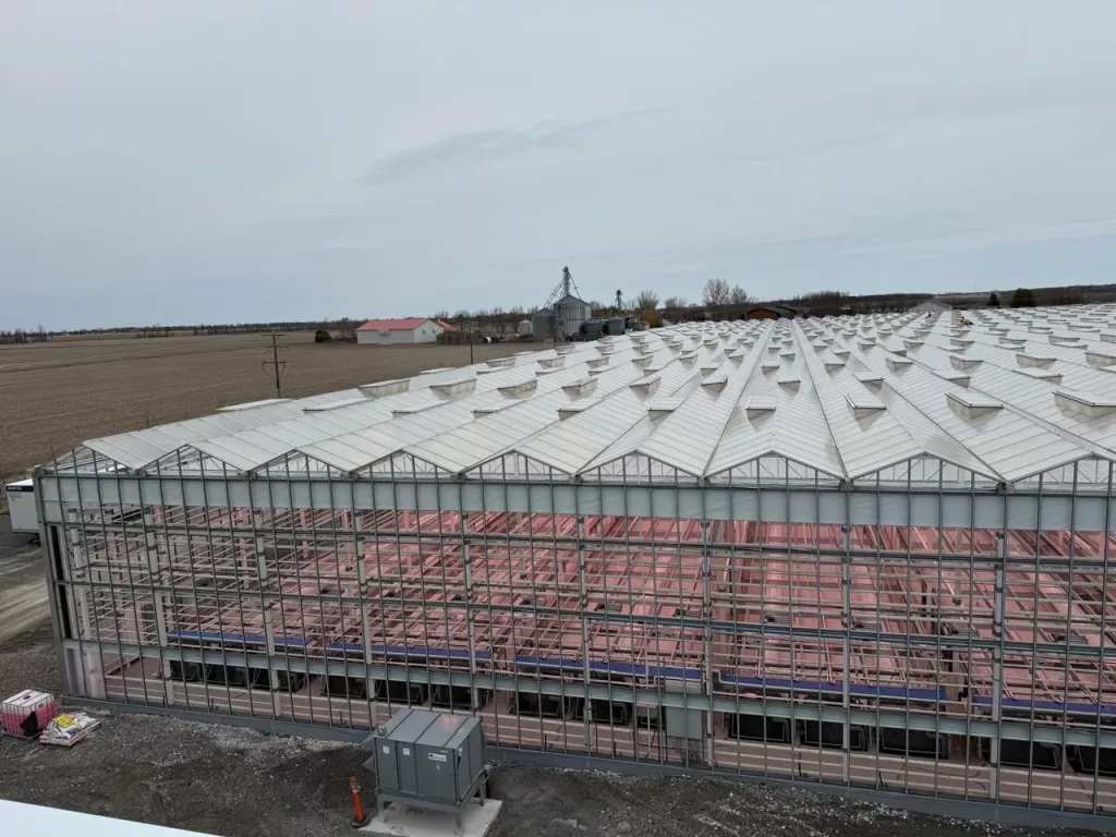 Innovative Commercial Glass Greenhouse Vermax glass greenhouse