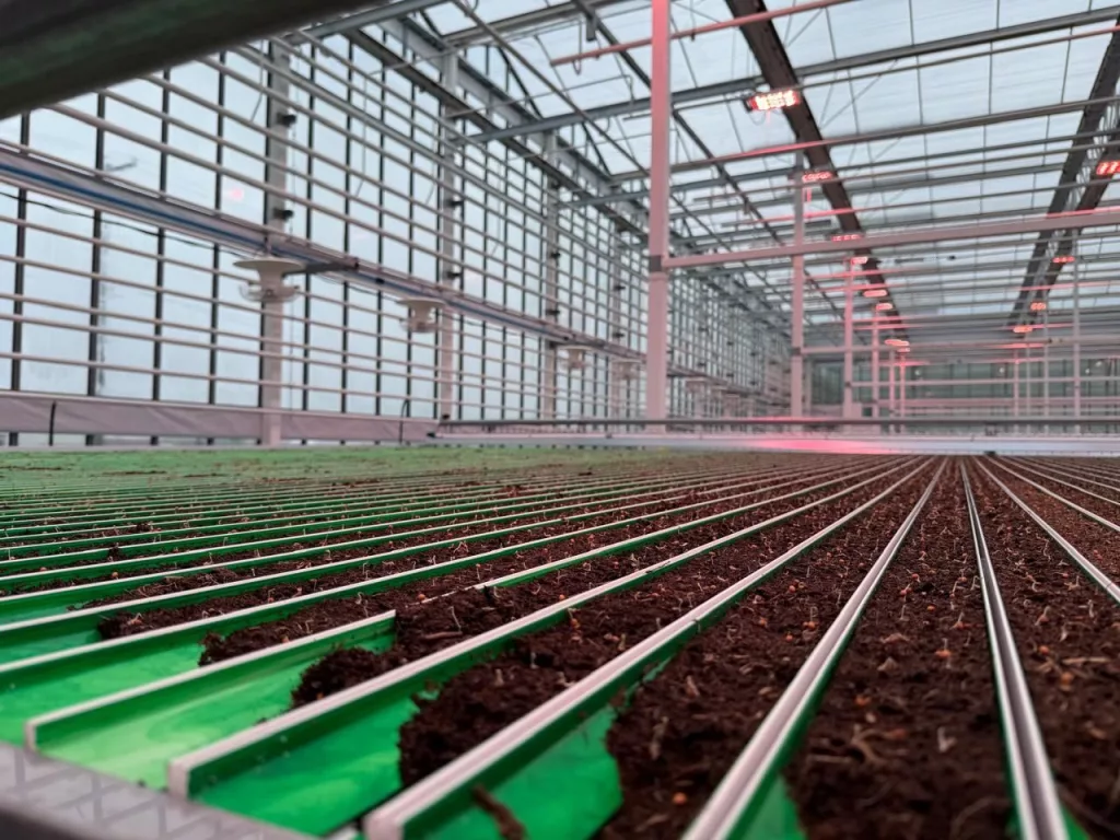 commercial greenhouse solutions