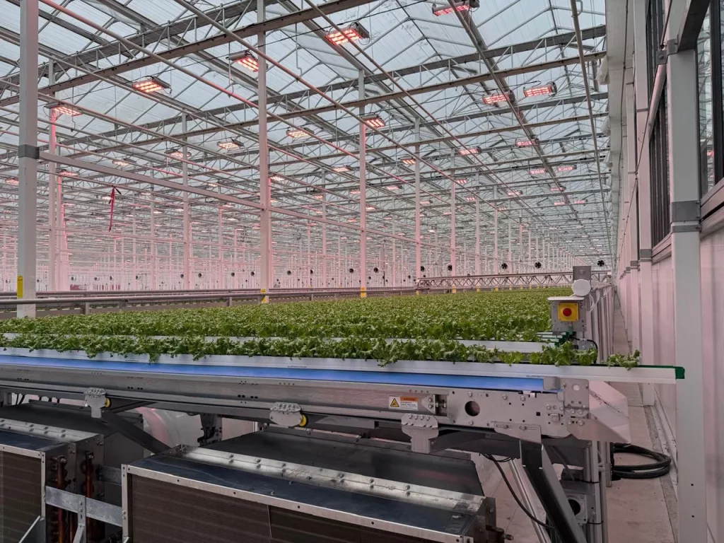 Innovative Commercial Glass Greenhouse commercial greenhouse solutions