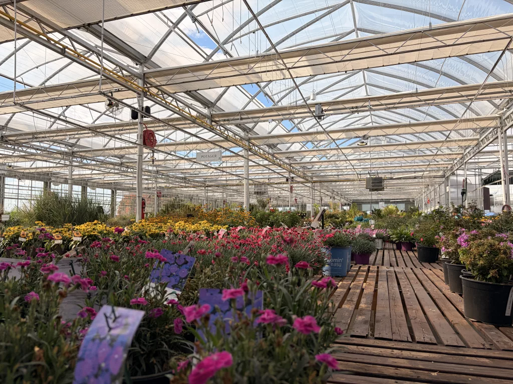 garden center greenhouse