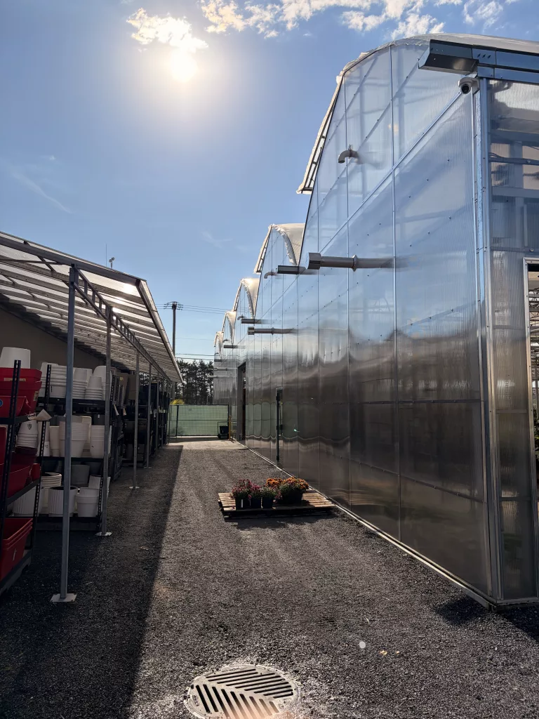 greenhouse orientation - east-west - summer