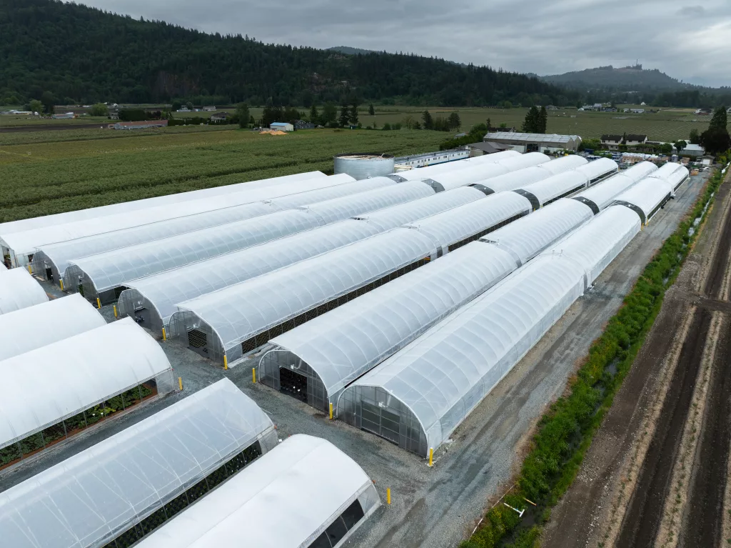 Commercial Greenhouses Structures - Van Belle Nursery