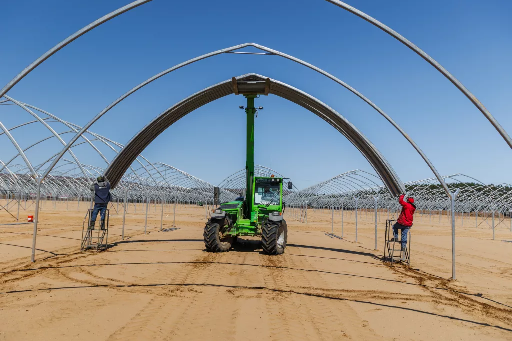 High Polytunnel Greenhouse