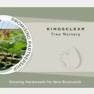 Kingsclear 3