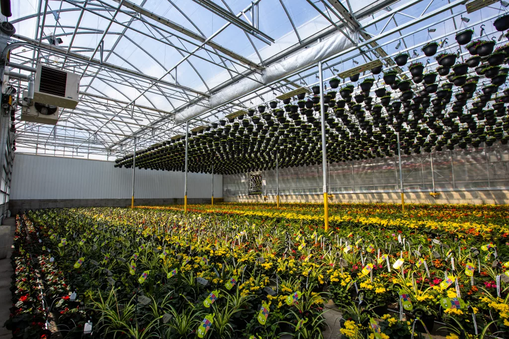 Greenhouse Building Guide for Commercial Growers by Harnois