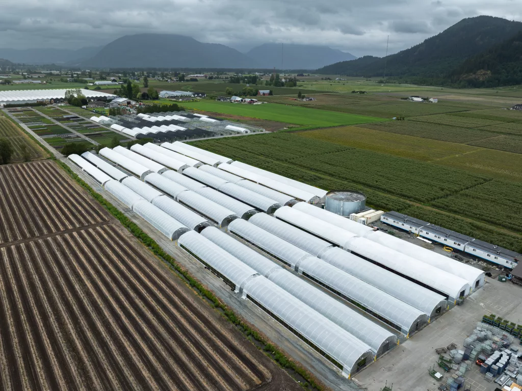 greenhouse supplier Canada - Van Belle Nursery