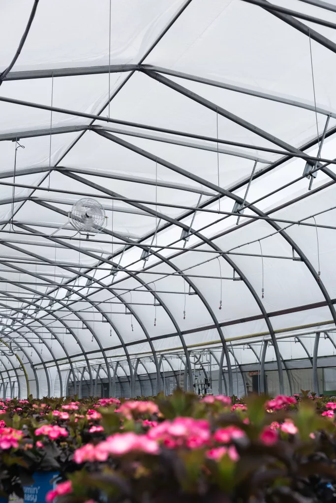 BVP greenhouse 18