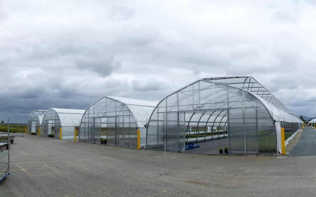 Commercial Greenhouses for British Columbia