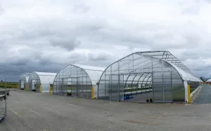 Commercial Greenhouses for British Columbia