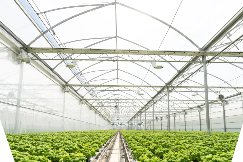 industrial greenhouse by Harnois