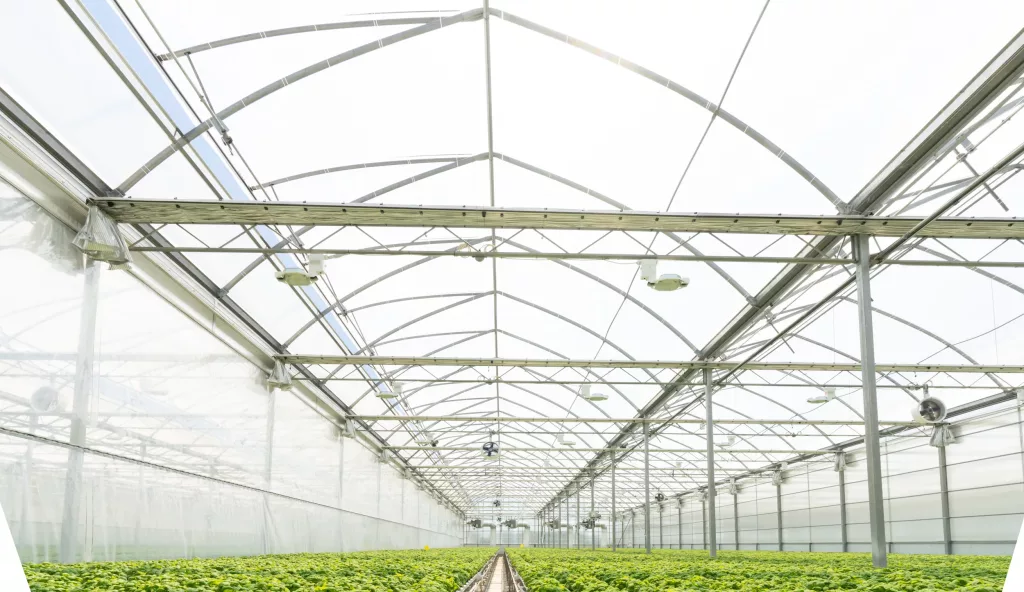 industrial greenhouse by Harnois