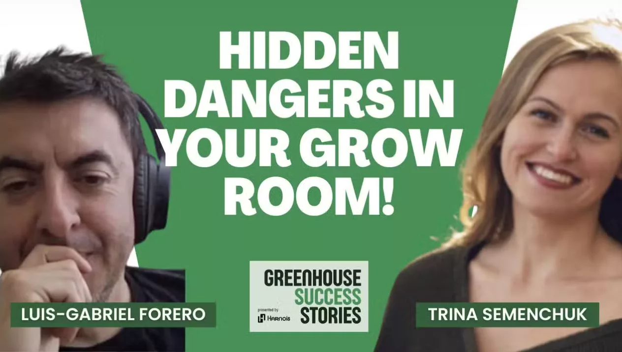 Greenhouse Success Stories - Building A Greenhouse In Alberta