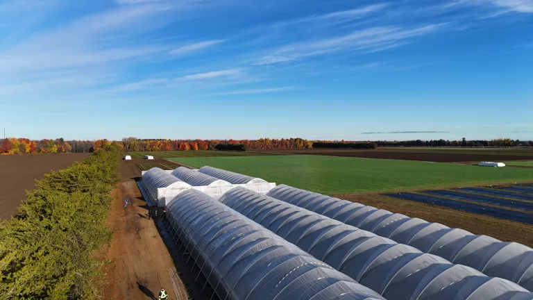 high tunnel winterization - beautiful dry day