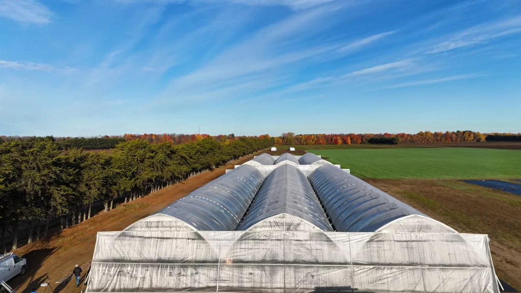 high polytunnel - field scale tunnel - lareault