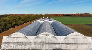 high polytunnel - field scale tunnel - lareault