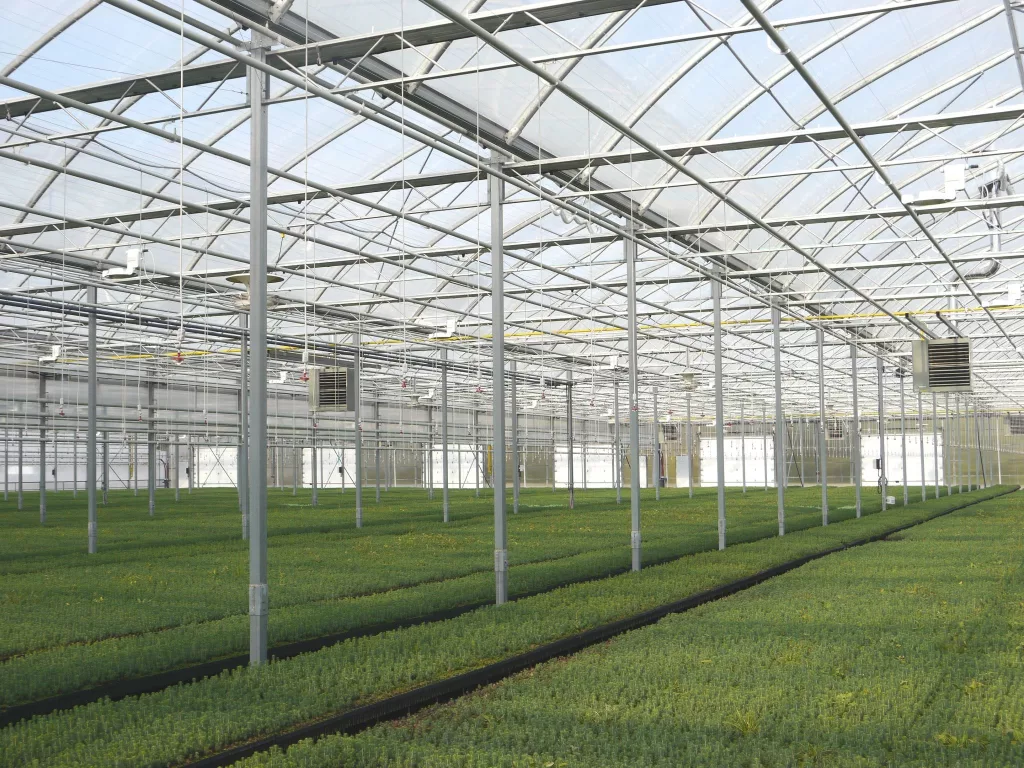 High-tech greenhouse systems for tree nurseries
