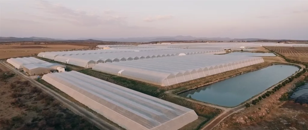 Red Sun Farms - Greenhouse - Mexico - Sky View