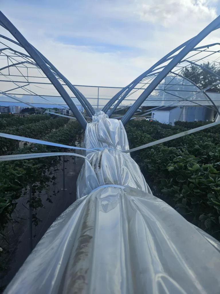 How to winterize a high tunnel structure