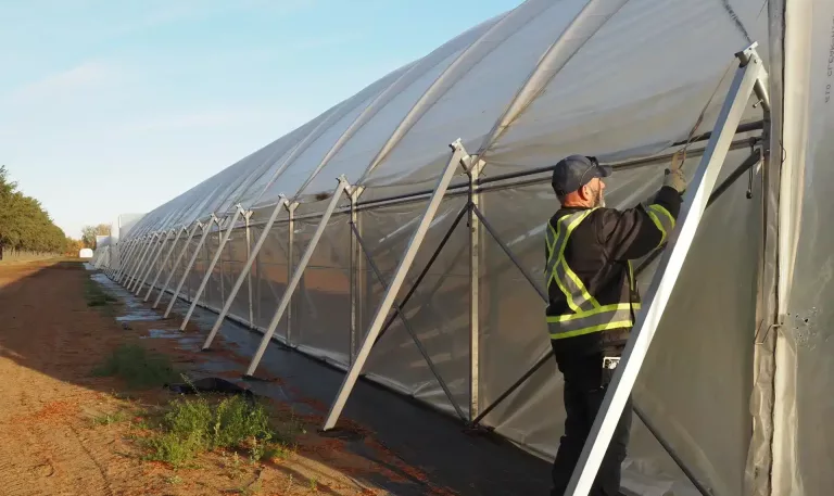 high tunnel greenhouse - winterization - loosen straps